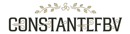 Constantidfbv